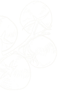 1b8b9c54 desi banner obj01.png