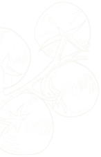 925a03fd desi obj 13.png