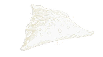 prime nexus food samosa